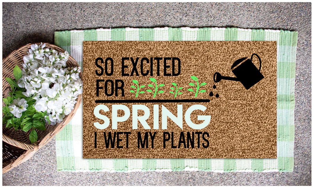 Spring Doormat Options