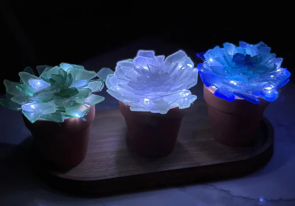 11/05/25 -  (Wed@10am) PRIVATE EVENT - Sea Glass Succulents Workshop