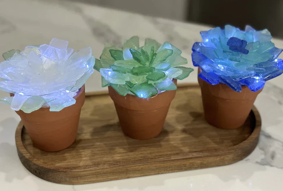 11/05/25 -  (Wed@10am) PRIVATE EVENT - Sea Glass Succulents Workshop
