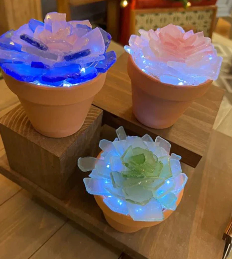 11/05/25 -  (Wed@10am) PRIVATE EVENT - Sea Glass Succulents Workshop